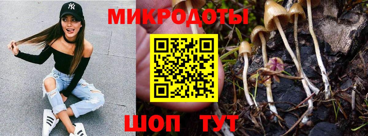 Псилоцибиновые грибы MAGIC MUSHROOMS Каспийск
